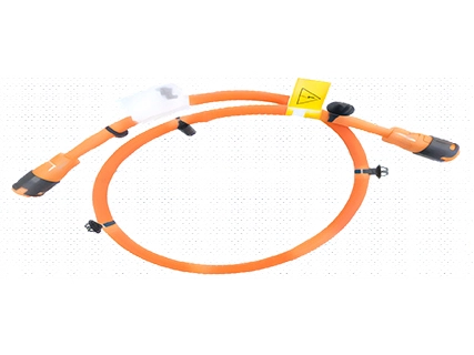 EV Customized Wire Harness